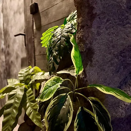 Apartment La Grotte Immersion Complete Avec Jacuzzi *